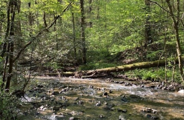 Secluded Log Cabin and Rushing Creek- Dogs Welcome