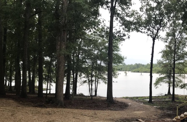 Secluded Toledo Bend hideaway