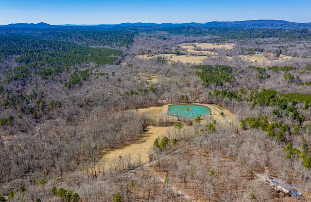 Secluded Woodsy Luxury Hm 40 PRIVATE gated Acres, Pond, Hot Springs Mount Ida