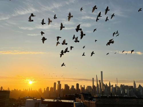 See NY Now Sleeps 21