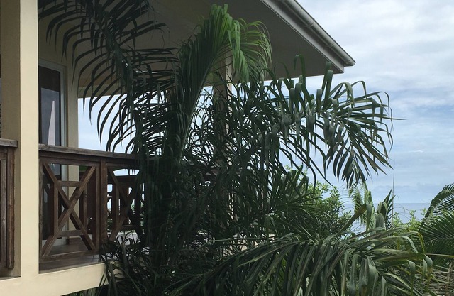 SELF CATERING CHALET