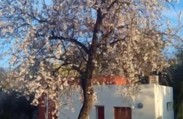 Self catering cottage La Aldea for 4 people