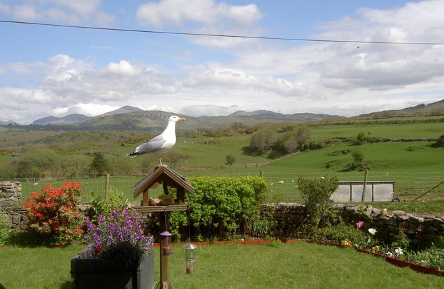 Self catering holiday caravan accommodation on FARM near Black Rock Sands