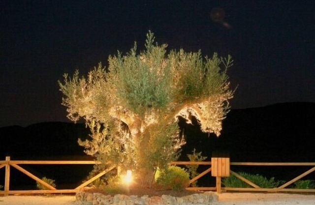 Self catering Sol de Taberno for 6 people