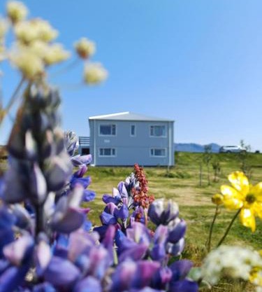 Selið Farm Stay - Guesthouse