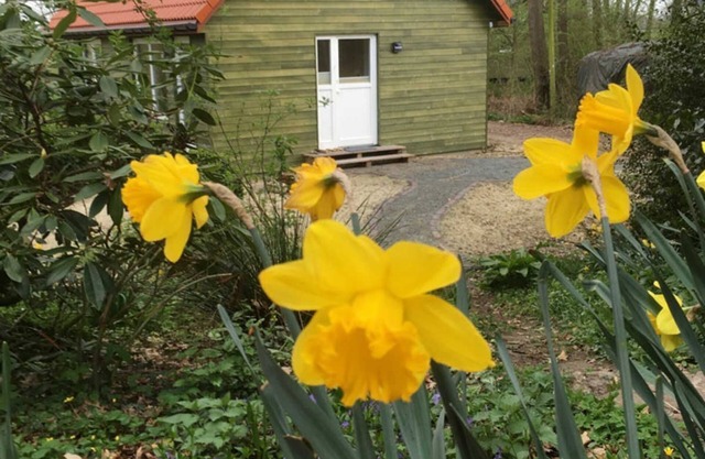 Semi-detached house FeWo 2 - Ferienhäuser Ohlenbusch