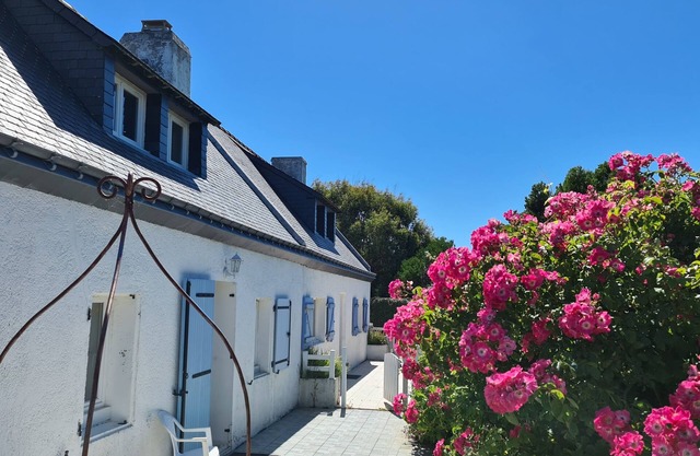 Semi-detached houses on Belle-Ile with BIKES