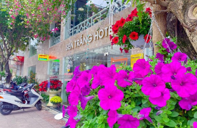 Sen Trang Hotel