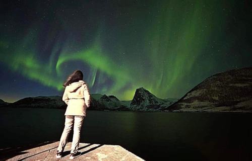 Senja Living