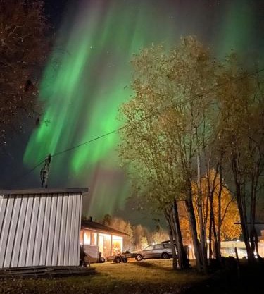 Sentral og romslig leilighet nært Senja