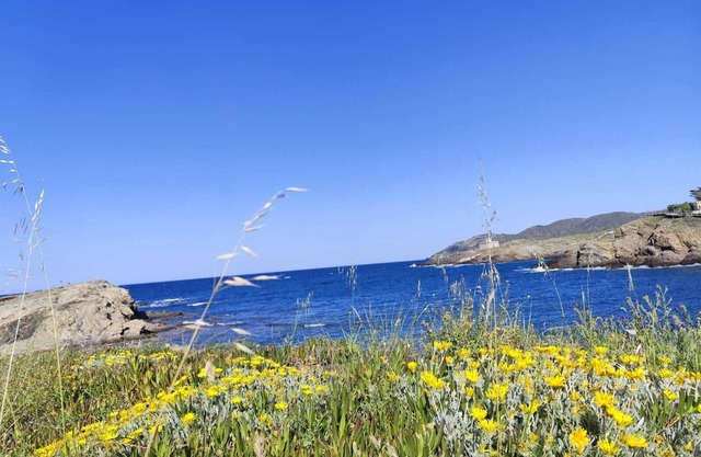 SEPTEMBER OFFER Apartment with large terrace in front of the sea, you see the sunrise