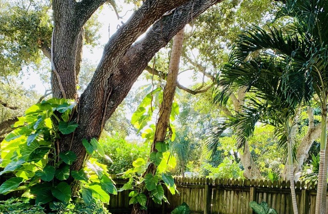 Serene Escape - Downtown Ft Lauderdale - 7 min drive to beach/airport/port