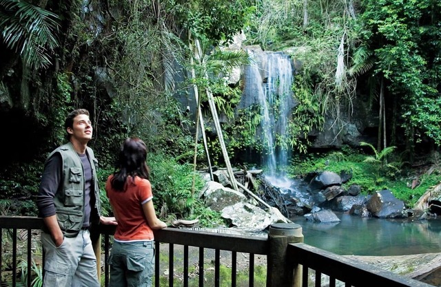 Serene Mountain Cabin Retreat Tamborine Mountain