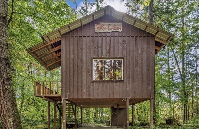 Serene Sky Cabin in Castle Rock. 1bed/1bath + a loft , private, pet friendly