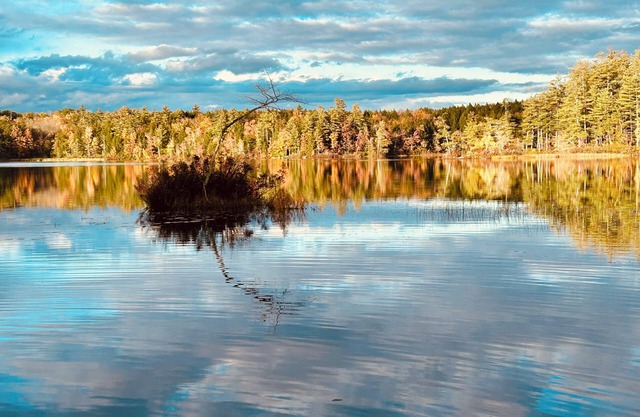 Serene Waterfront Retreat on 2+ Acres with 360-degree Water Views & Private Dock