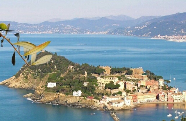 Sestri Levante - Apartment in villa with splendid view