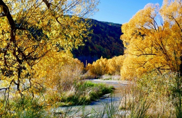 Shades of Arrowtown