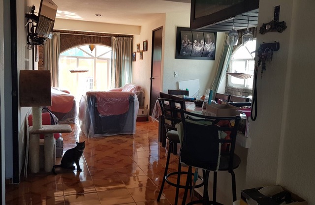 Shared Room for travelers in Exchange to study in Unam