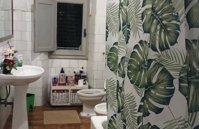 Shared Apartment