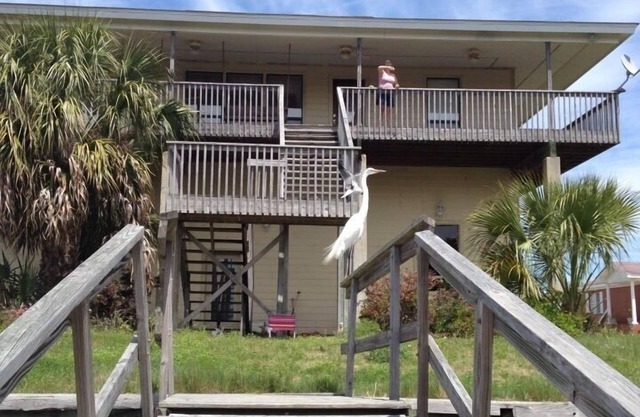 Shell Point Beach book now for spring & summer