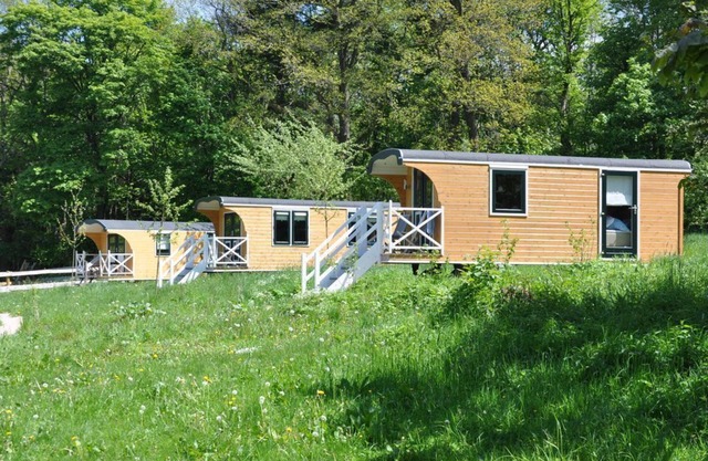Shepherd's wagon on the apple meadow incl. donkey hike - Donkey hike Eifel,