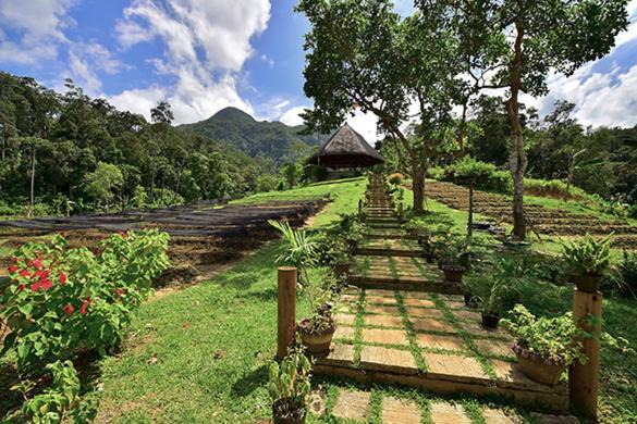 Sheridan Organic Farm and Resort