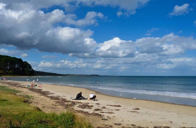 Shoreham BEACH/TREE HOUSE