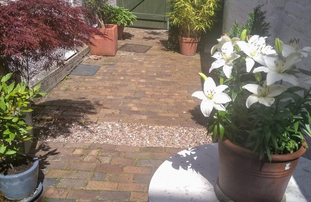 Shorehouse B&B