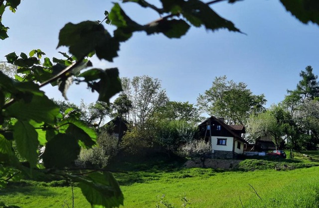 Siedlisko na Groniku