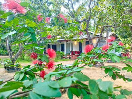 Sigiriya Moon Mirage Villa