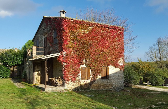Silence and relaxation in countryside of Umbria