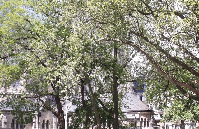 Silentio Schletterstrasse