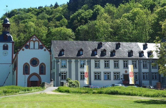 Single room, shower, toilet, 1 bed room - Gästehaus der Abtei Sayn