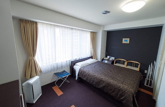Single use in nonsmoking double room/Osaka Ōsaka