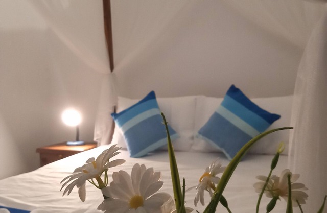 Siroy Lily is a Villa.