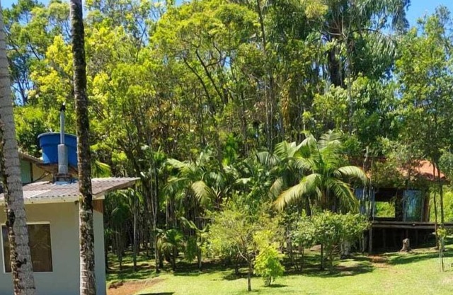Sitio do vô Pisco