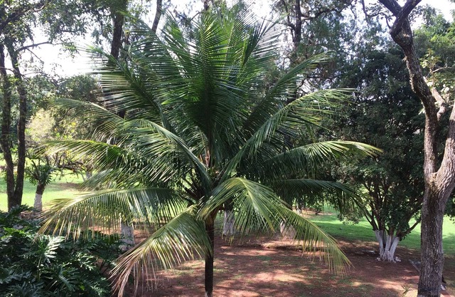 Sitio Três Saltos SP