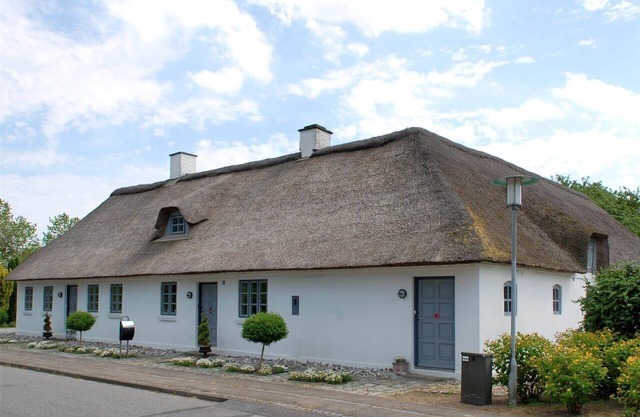 SJ213 Fredericia - Blåhøj 26