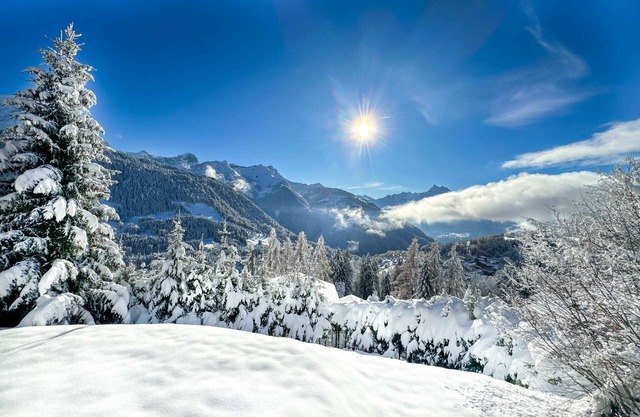 Ski in-out Sumptuous Chalet Breathtaking views