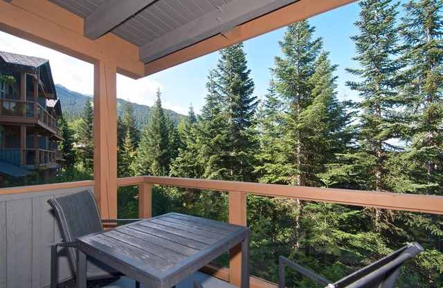 SKI IN/SKI OUT Beautiful Family Townhome. Newly renovated, Free parking, one level unit,