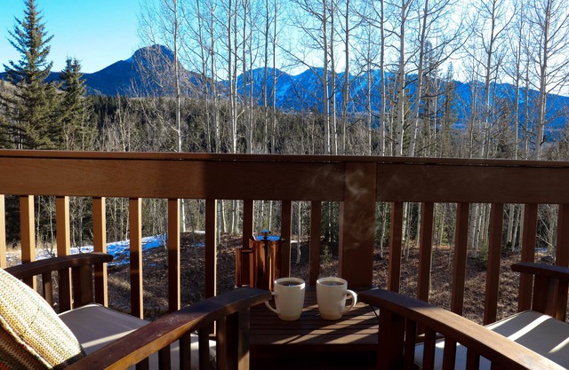 Ski Purgatory 2 Miles from Rustic Renovated Condo with Mountain Views