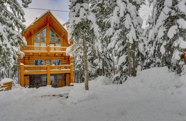 Skiing Bear Chalet