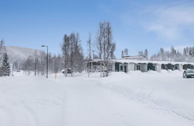 Skivillas Paljakka 5. (3mh) by Interhome