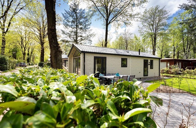 ✓ Sky at Bospark Ede ✓ Holiday home for 4 people ✓ Located in Ede (Gelderland) ✓ Holiday resort in the Veluwe region ✓ Book directly at the resort