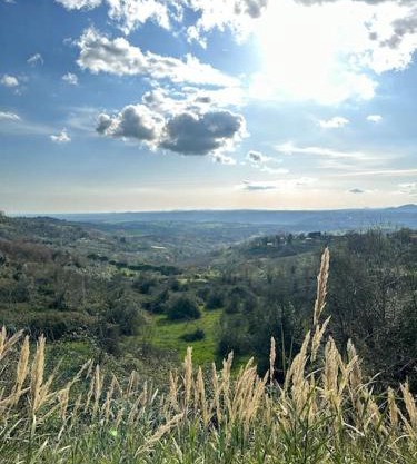 Sky view, Attico vicino Roma