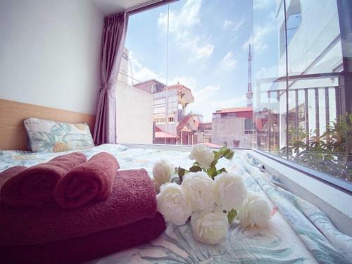 Sky View VH15a