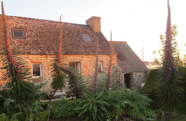 Small Breton cottage Close To Beautiful Beaches Friday change-over sleeps 4/5