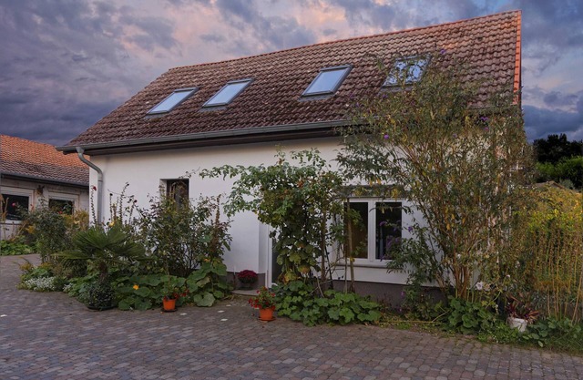 Small cottage on the forest and hunting lodge - Forest & Jagdgut