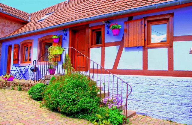 Small cozy nest with GARDEN in the heart of Alsace near Obernai. FREE WIFI