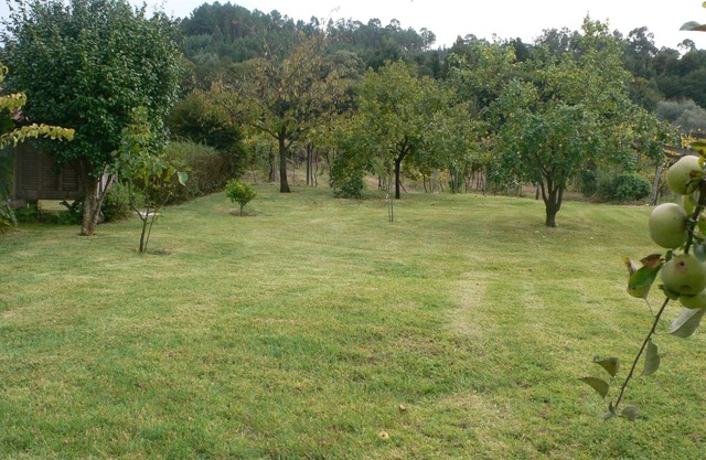 Small farm by the river